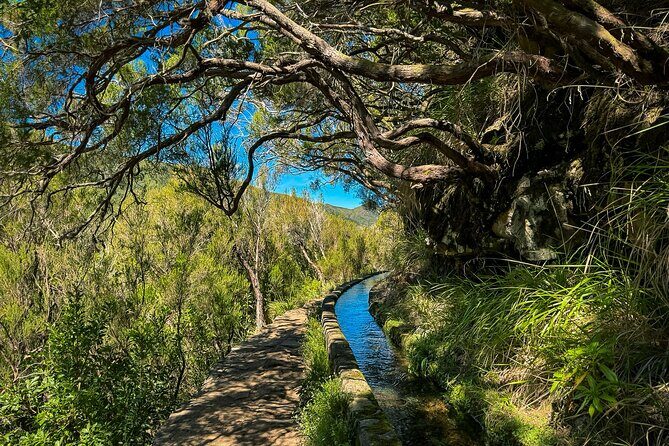 25 Fountains Levada: Hiking Tour in Madeira Rabaçal Valley (PR6) - The 800m tunnel finish: what it is, and how to handle it comfortably