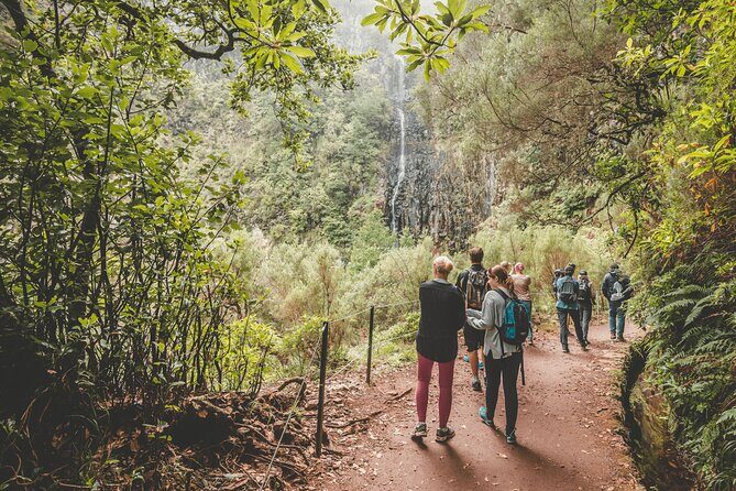25 Fountains Levada: Hiking Tour in Madeira Rabaçal Valley (PR6) - Price and value: $52.87 plus the 3€ nature fee you should budget