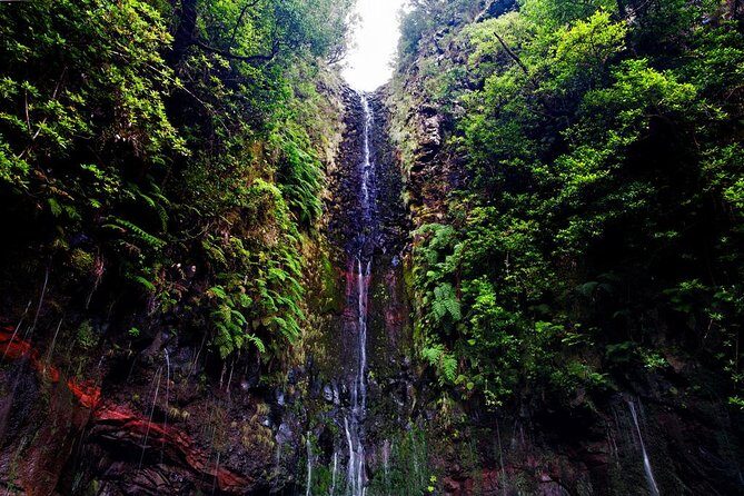 "25 Fountains" Walk / Lost In The Beautiful Forest - What to wear and pack for a wet, step-heavy day