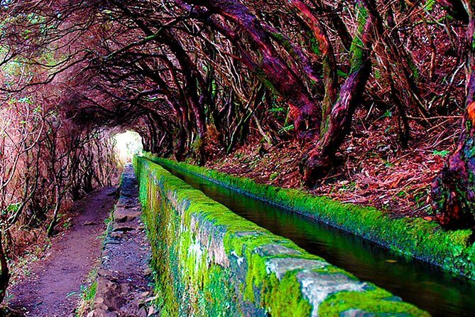 "25 Fountains" Walk / Lost In The Beautiful Forest - Getting in and out of Funchal: pickup that can affect your morning