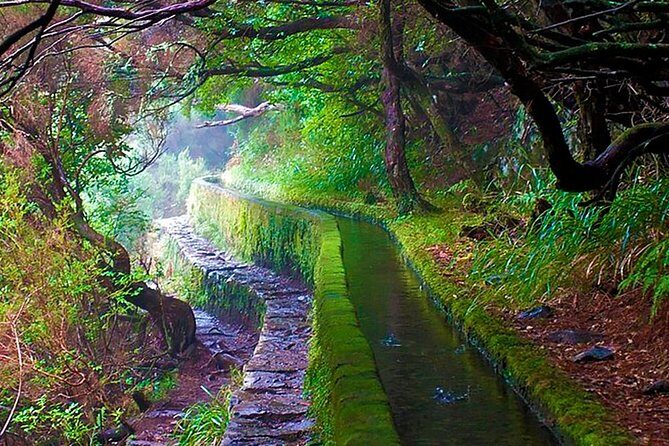 "25 Fountains" Walk / Lost In The Beautiful Forest - Price and the €4–€11 entrance fee: what you should budget