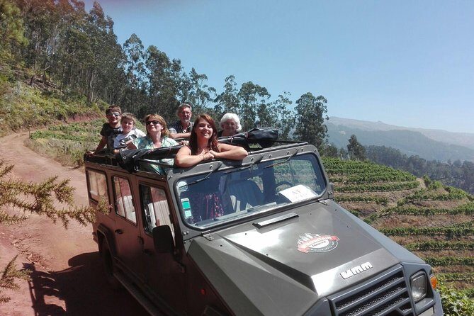 4x4 Safari Half day Poncha, Mountains, Vineyards and Cabo Girão Small group - The Sweet Spot: A Half-Day 4x4 for Madeira’s Best Angles