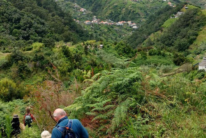 4x4 Safari Private Jeep, Full Day, Customizable Santana or Porto Moniz or other - The Role of the Guide: Live Commentary and Real Flexibility