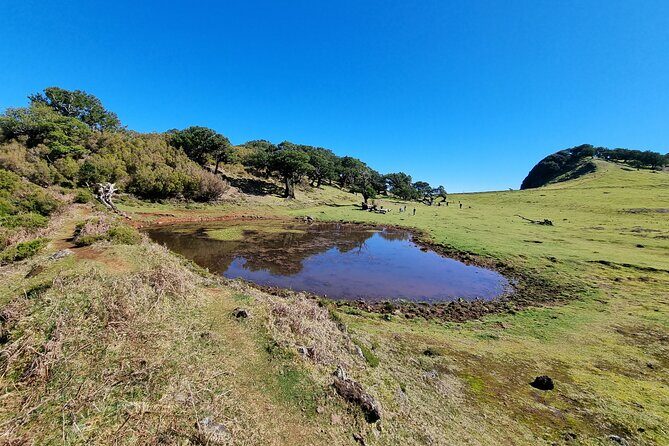 5 Hours Private tour To Porto Moniz, Rock pools, waterfalls - Price and Value: Is $276.32 Per Group a Smart Deal?
