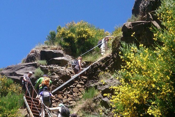 Achadas Teixeira- Pico Ruivo -& Pico pedras/Queimadas forest walk - What the Guides Do Best: Safety, Nature Talk, and Pacing