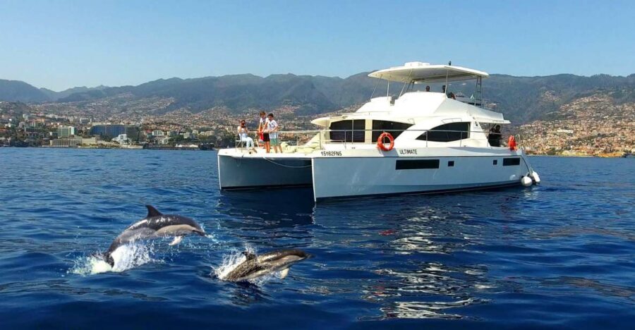 All Inclusive Whale and Dolphin Watching Luxury Tour - Key things that make this tour work so well