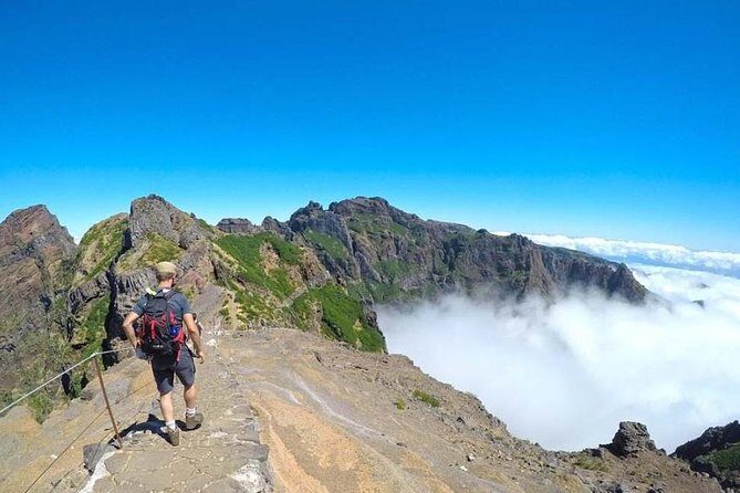 All Madeira In 2 Days Tour - The real deal on price and value: what $72.41 buys you