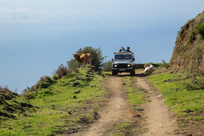 Amazing West - Jeep Safari Tour - Full Day - Shared Tour - Key Highlights You’ll Feel Immediately