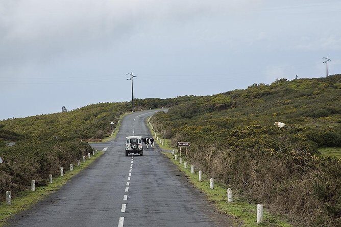 Amazing West - Jeep Safari Tour - Full Day - Shared Tour - Laurissilva Off-Road Adventure: What the Driving Feels Like