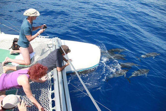 Arieiro Peak and Cristo Rei 4x4 Experience + Dolphins Watching - How the Day Works: Jeep at 9:00, Boat from 3:00