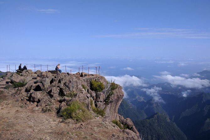 Arieiro Peak and Cristo Rei 4x4 Experience + Dolphins Watching - Funchal Harbor Dolphin and Whale Watching: 3 Hours on the Water