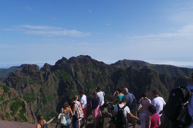 Arieiro Peak and Cristo Rei 4x4 Experience + Dolphins Watching - Who This Tour Suits (and Who Might Want a Different Plan)