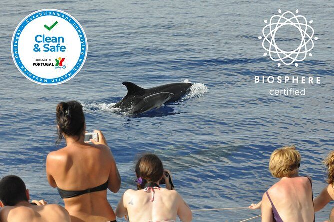 Arieiro Peak and Cristo Rei 4x4 Experience + Dolphins Watching - Miradouro do Cristo Rei do Garajau: History Meets Panoramic Coast