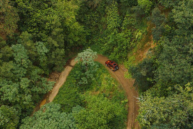 Bespoke adventure in Madeira with pick-up - Stop highlights: cliffs, waterfalls, tunnels, misty forest tracks