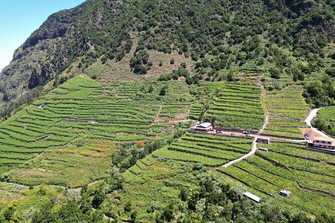 Bestselling Wine Tour, Tasting Experience & Skywalk 4x4 Adventure - Best for who: wine lovers, view chasers, and first-time Madeira visitors