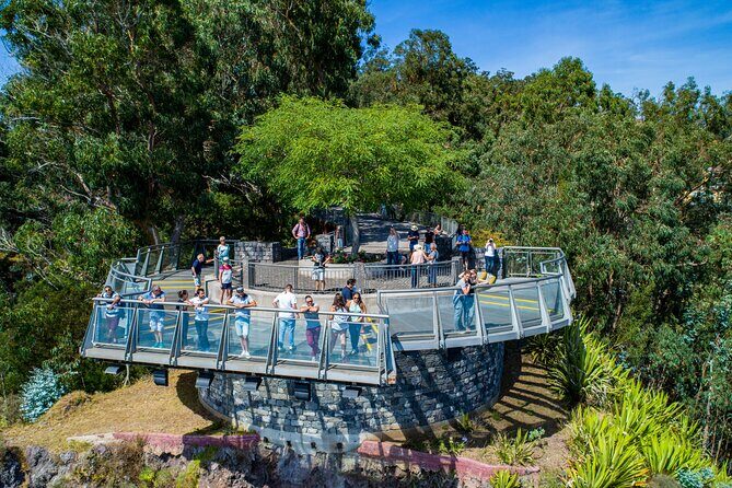 Bestselling Wine Tour, Tasting Experience & Skywalk 4x4 Adventure - Open-top 4x4 jeeps: the comfort and the reality check