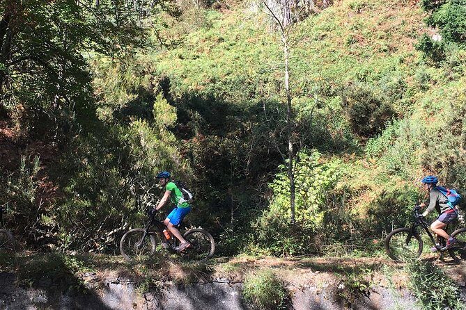 Botanical Trails of Madeira. Mountain biking Trail Experience - Levadas near 850m: 20km of water-channel riding through Madeira’s forest mix