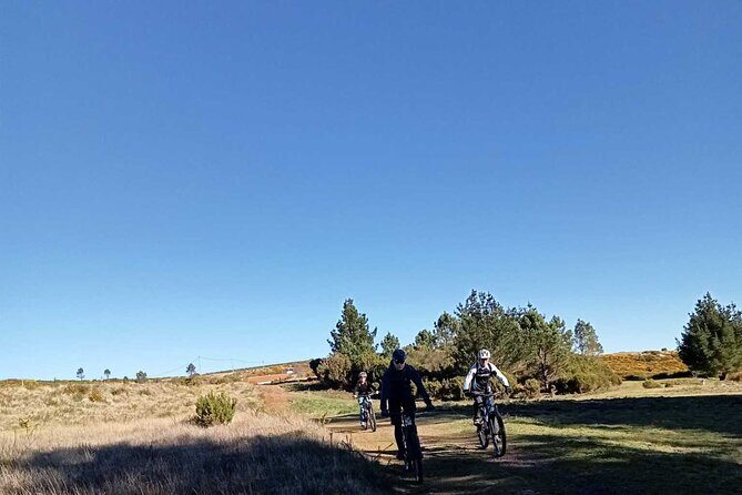 Botanical Trails of Madeira. Mountain biking Trail Experience - Price and value: what $96.12 includes (and what you’ll still pay for)