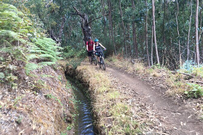 Botanical Trails of Madeira. Mountain biking Trail Experience - Who this Madeira mountain bike ride suits best