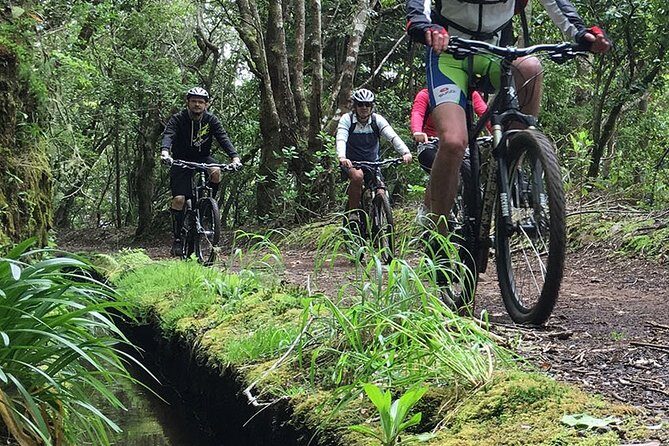 Botanical Trails of Madeira. Mountain biking Trail Experience - Poiso start at 1,400m: the easy uphill that teaches you the bike