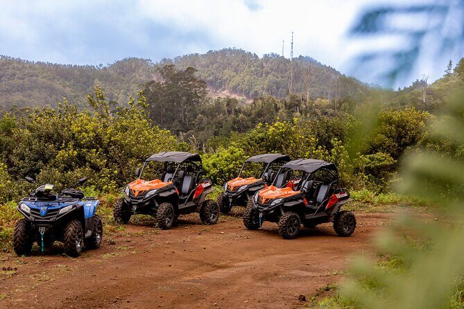 Buggy Adventure in Madeira off Road - From Caniçal Meeting Point to Fajã dos Rolos Start