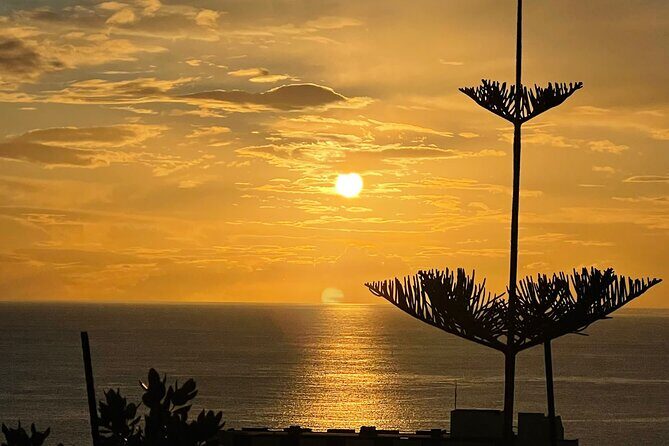 CABO GIRÃO (Half Day tour/3h) / Private Classic Car (4L). - Câmara de Lobos: poncha culture and a quick taste of local life