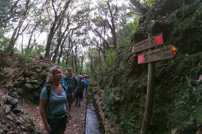 Caldeirão Verde Levada (PR 9) - Guided Madeira Levada Walk - The Laurisilva section: the “story” you’re paying for