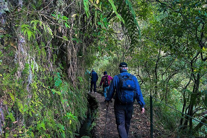 Caldeirão Verde Levada (PR 9) - Guided Madeira Levada Walk - Tunnels, caves, and narrow paths: how to enjoy it (instead of endure it)