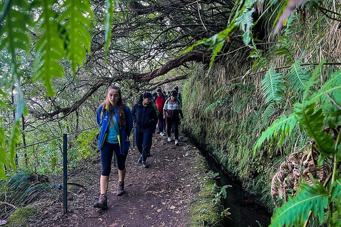Caldeirão Verde Levada (PR 9) - Guided Madeira Levada Walk - Price and logistics: is $55.12 good value for PR9?