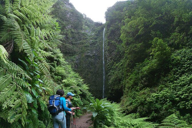 Caldeirão Verde Levada (PR 9) - Guided Madeira Levada Walk - What to bring so the day feels smooth