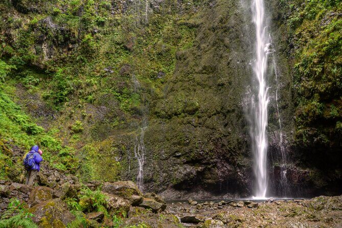 Caldeirão Verde Levada (PR 9) - Guided Madeira Levada Walk - The Caldeirão Verde moment: emerald lagoon and waterfall payoffs
