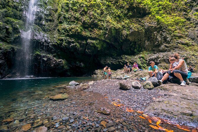 Caldeirão Verde Levadas Walk in Madeira - Guides on the trail: what to look for and how to get the most out of it