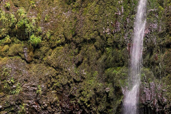 Caldeirão Verde Levadas Walk in Madeira - What’s the route like underfoot: tunnels, narrow paths, and muddy days
