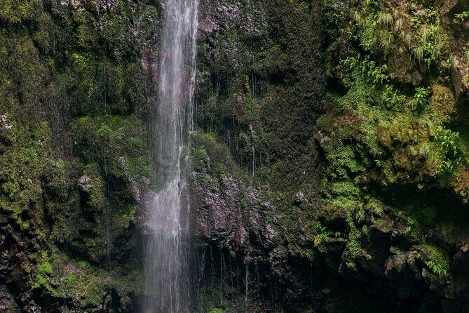 Caldeirão Verde Levadas Walk in Madeira - The equipment checklist that keeps the day smooth