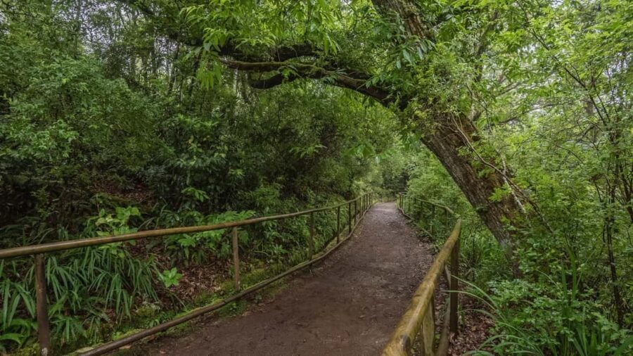 Caldeirão Verde: Queimadas PR9 Transfer and Self-Guided Hike - Key highlights you’ll care about