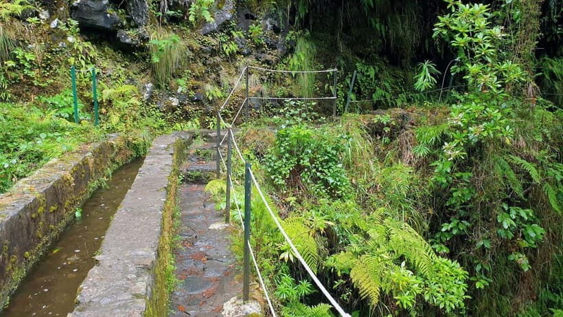 Caldeirão Verde: Queimadas PR9 Transfer and Self-Guided Hike - Weather, cancellations, and the forest fee you can’t ignore