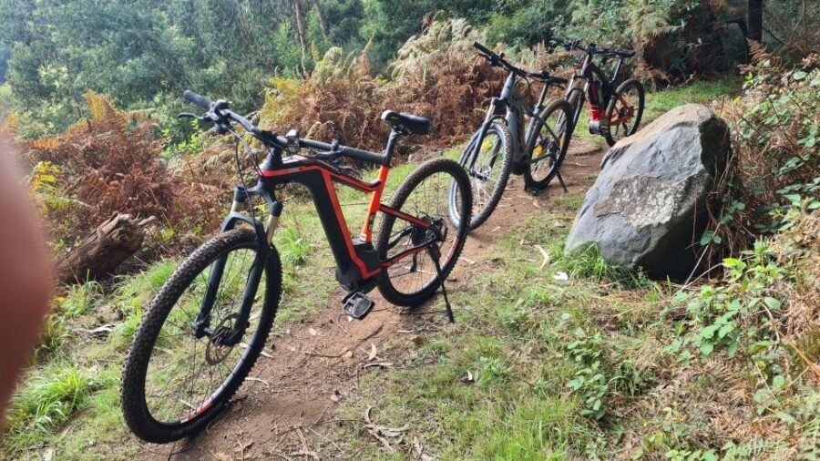 Camacha: Levada Trail e-Bike Guided Tour - Key highlights that make this Levada e-bike tour click