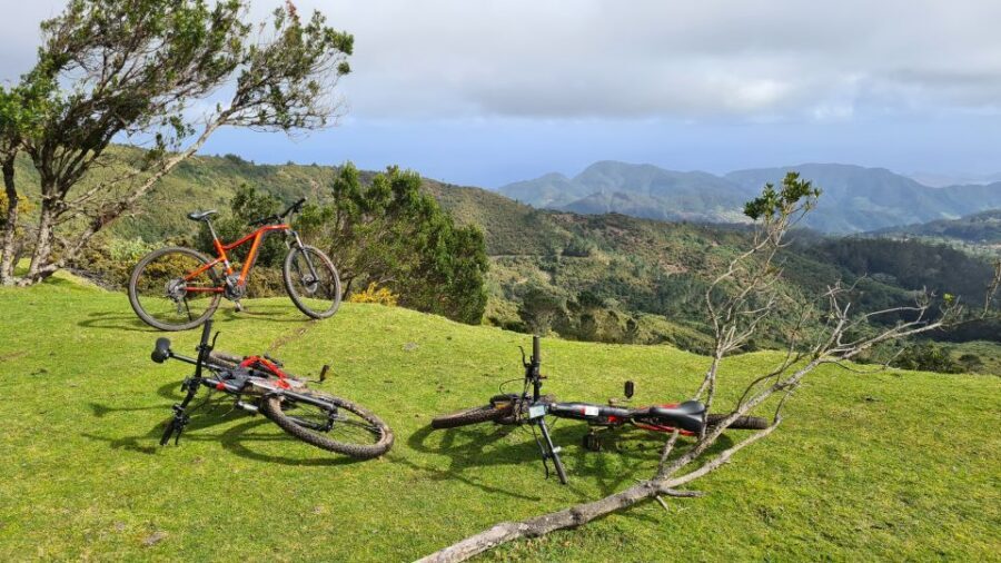 Camacha: Levada Trail e-Bike Guided Tour - Bikes, guide personalities, and why small groups matter on dirt paths
