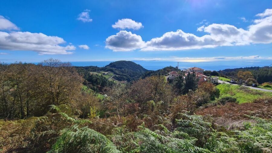 Camacha: Levada Trail e-Bike Guided Tour - Camacha to the Levada channel: why this route feels so Madeira