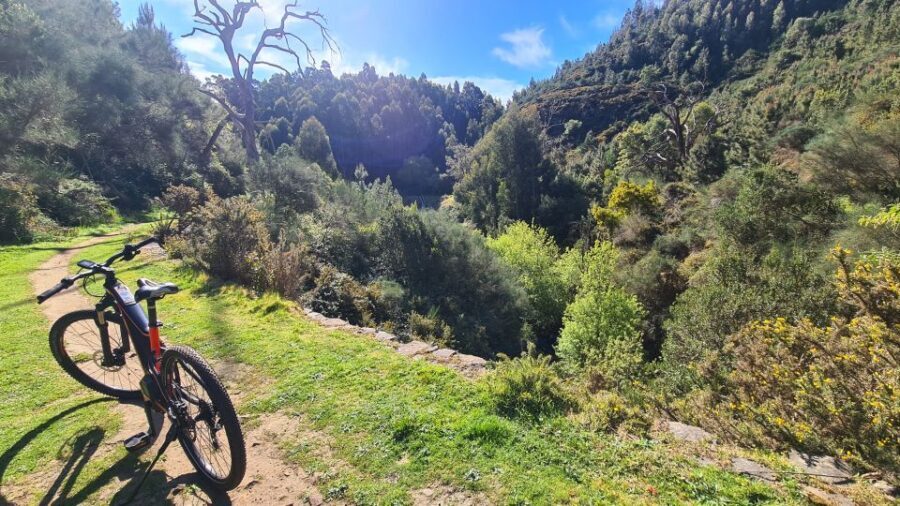Camacha: Levada Trail e-Bike Guided Tour - Price and value: does $82 make sense for 3.5 hours?