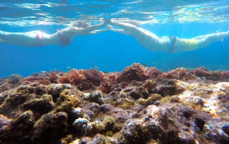 Caniço, Madeira: Marine Reserve Kayak & Snorkelling Tour - Key things that make this tour worth your time
