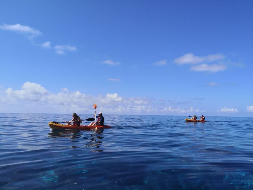 Caniço, Madeira: Marine Reserve Kayak & Snorkelling Tour - Who the guides work well for (and how they keep it safe)