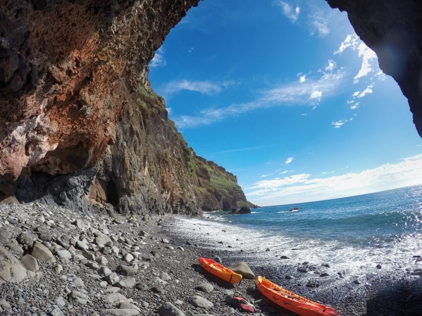 Caniço, Madeira: Marine Reserve Kayak & Snorkelling Tour - Sea life you can realistically look for