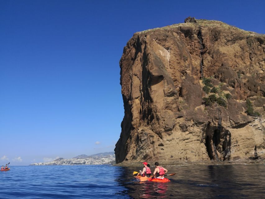Caniço, Madeira: Marine Reserve Kayak & Snorkelling Tour - The 2-hour rhythm: kayaking, then snorkeling