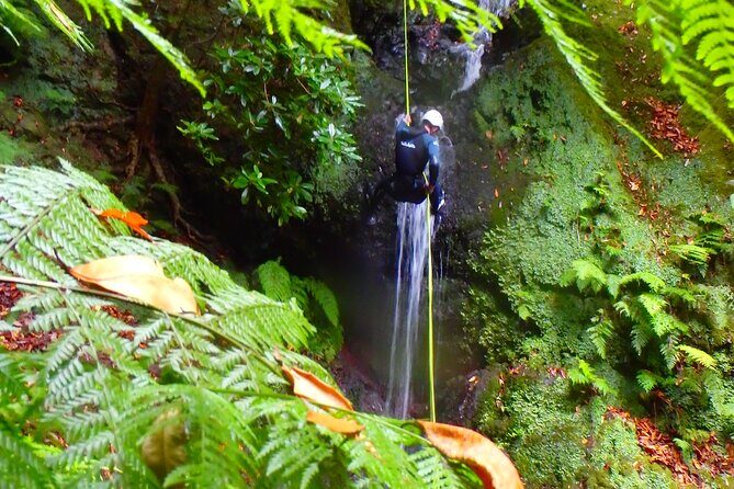 Canyoning Madeira Island - Level One - Price and value: what you actually get for $80.69