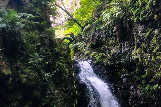 Canyoning Madeira Island - Level Two - Why Level Two Canyoning in Madeira is such a good bet