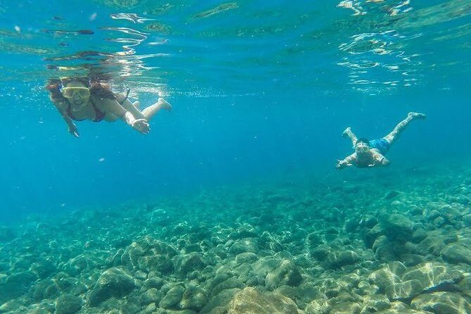 Catamaran Day Cruise to Desertas Islands from Funchal - Who this tour suits best (and who should choose differently)