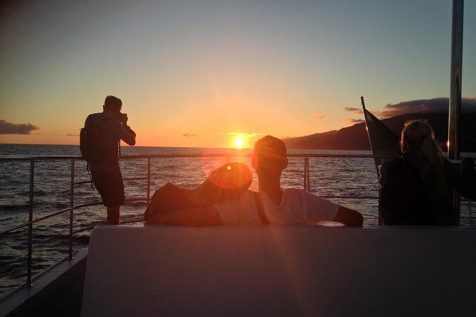 Catamaran Sunset Cruise from Funchal - Key Moments You’ll Care About