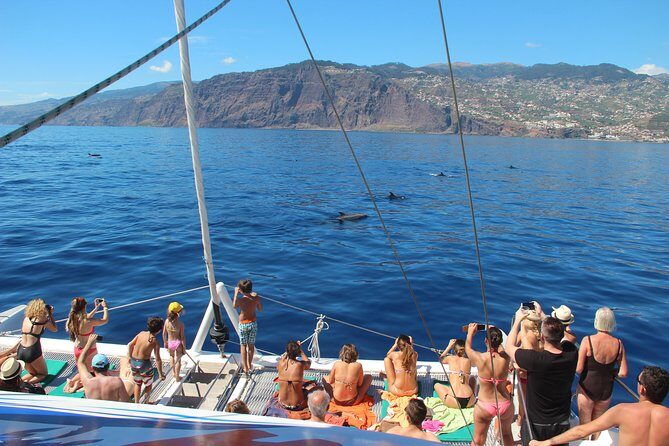 Catamaran Sunset Cruise from Funchal - The Return at Dusk: Coastal Lights, Music, and Motion Tips