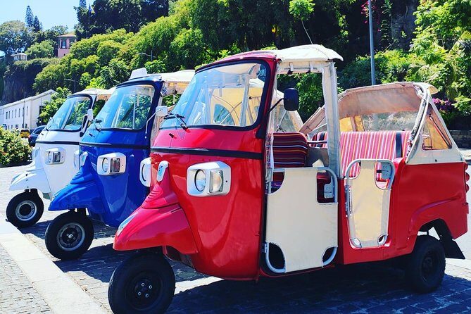 Christ King + Old Town tour by tuk-tuk - Stop 3 at Miradouro do Pináculo: city views with a strong focal point